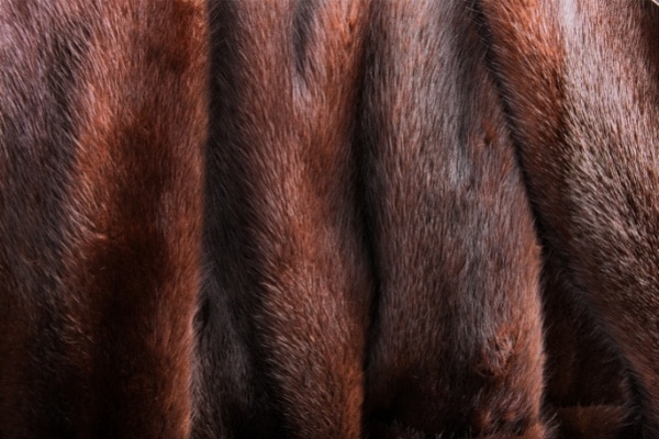 Fur