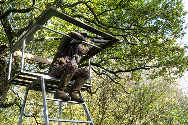 A stalker in a woodland high seat