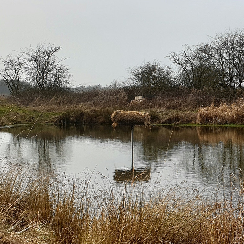 Duck nest tube in the middle of a pond