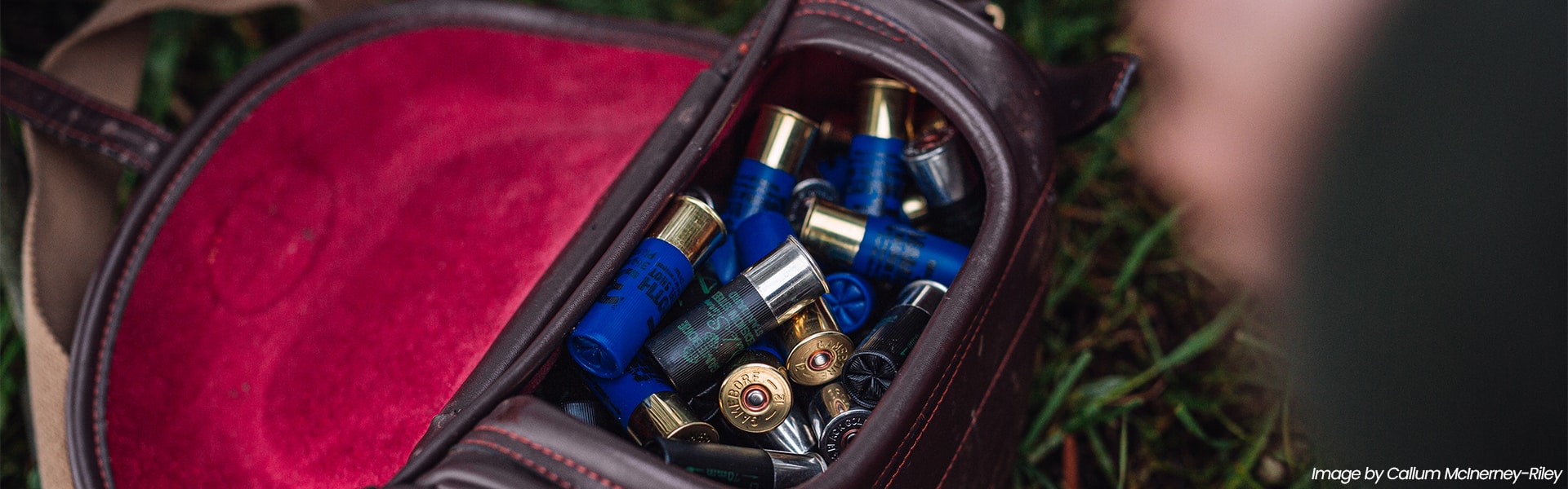 Shotgun cartridges in a cartridge pouch