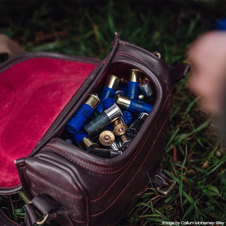 Shotgun cartridges in a cartridge pouch