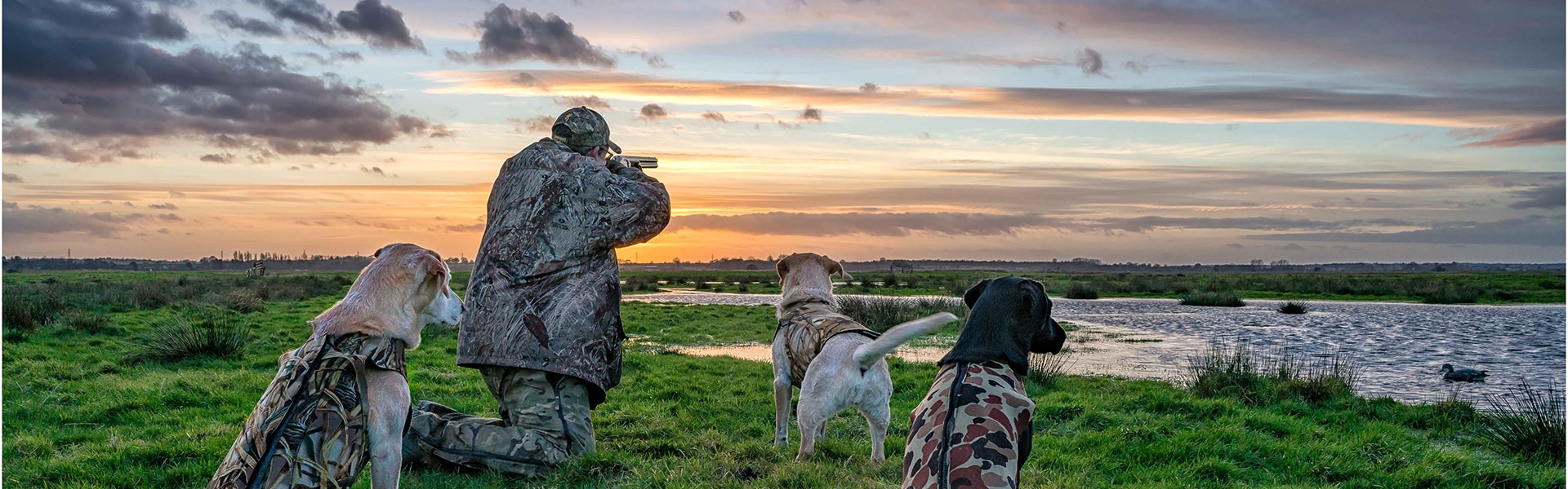 A wildfowler with their gundogs in the evening