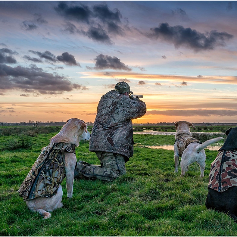 A wildfowler with their gundogs in the evening