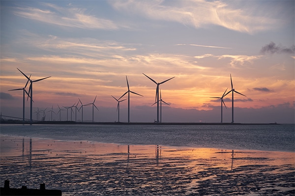 A wind farm