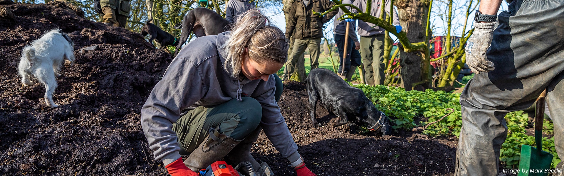 A woman clearing rats from a mound