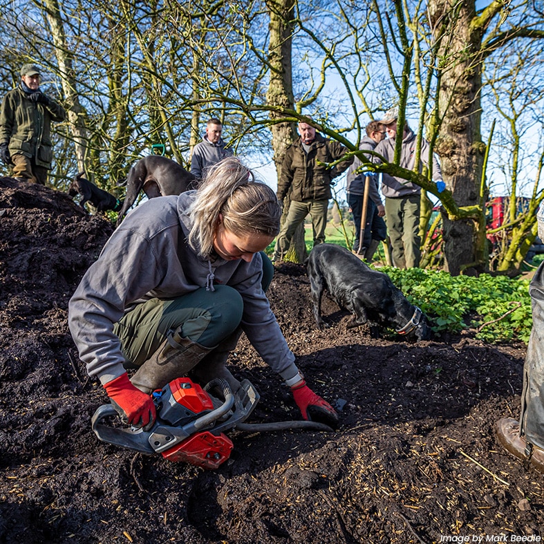 A woman clearing rats from a mound