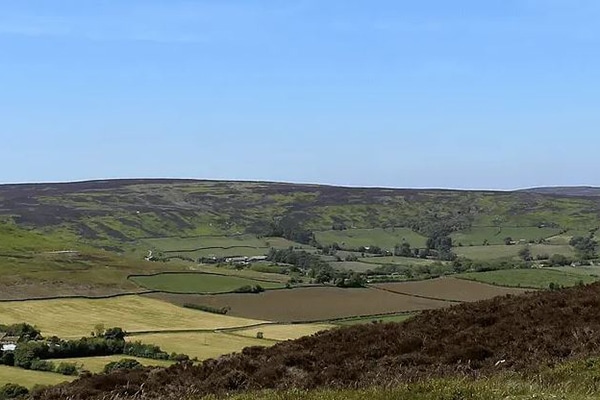 Fields and valley