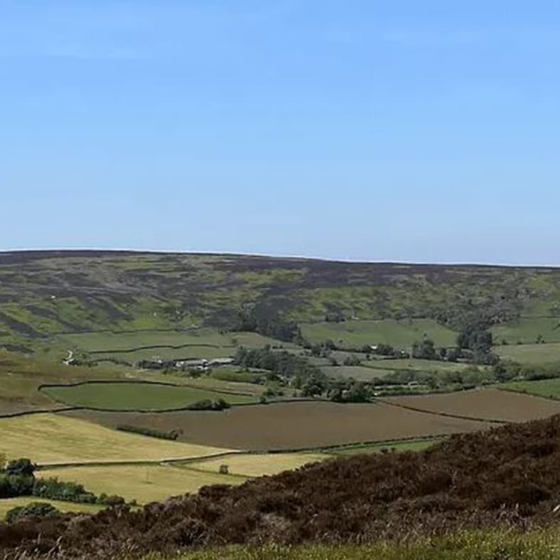 Fields and valley