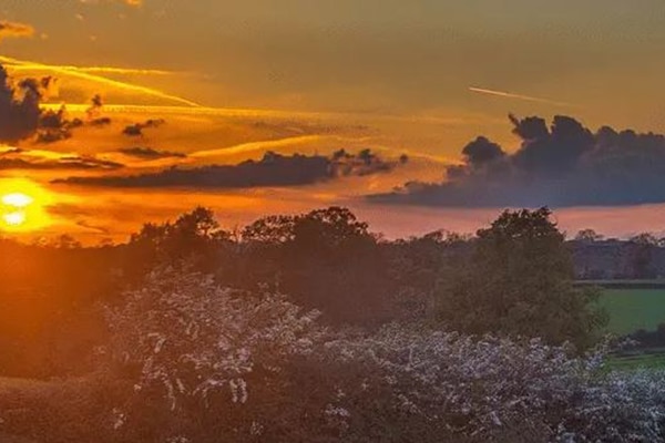 Sunset over fields