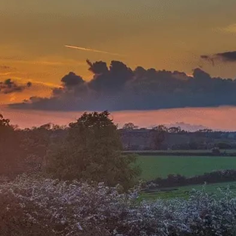 Sunset over fields