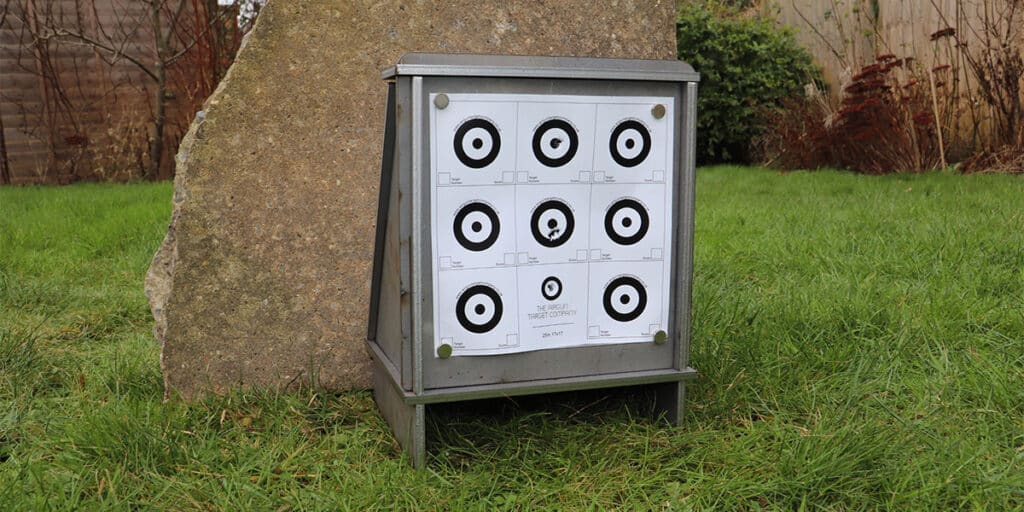 Air rifle target