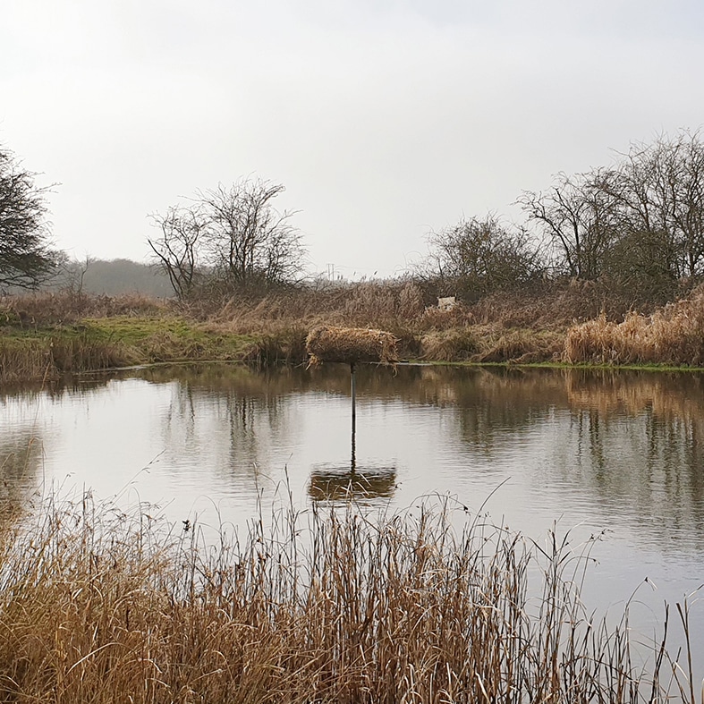 A duck nest tube on a pond